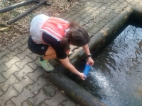 Kopie von IMG 20160403 140908